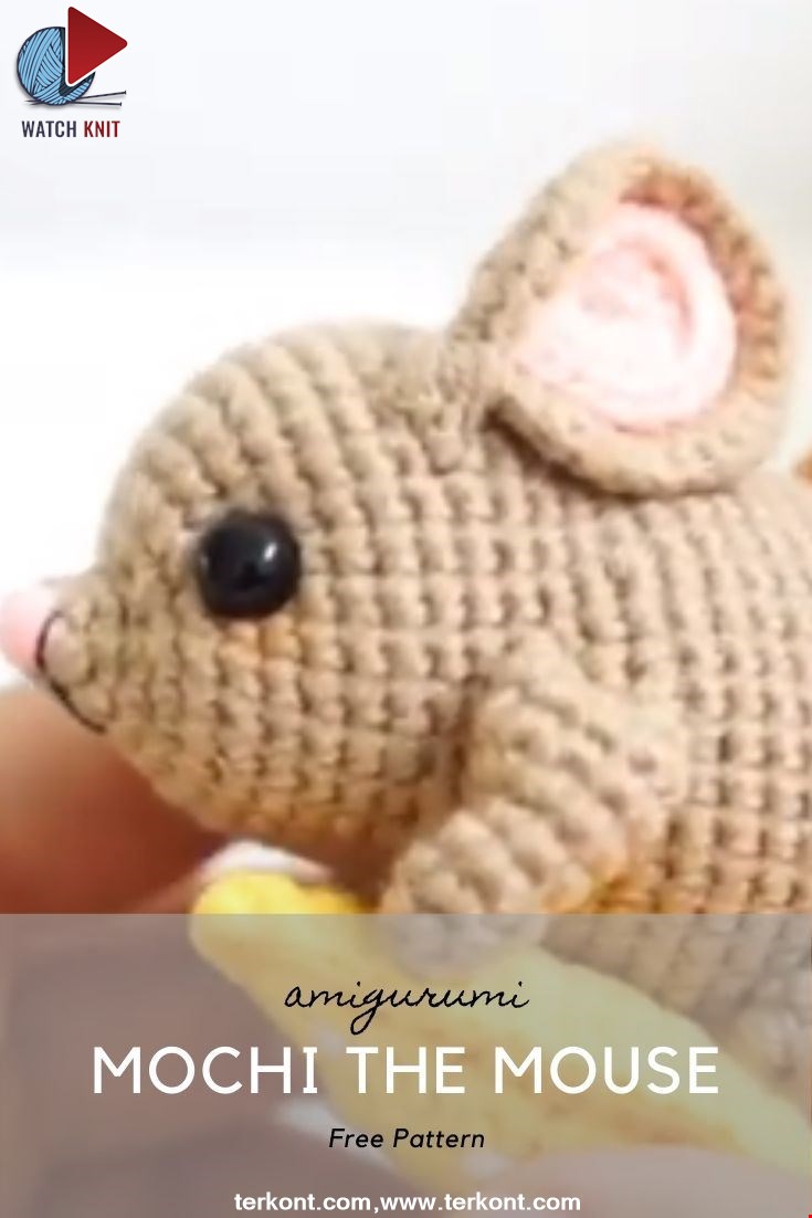 Mochi the Mouse Amigurumi