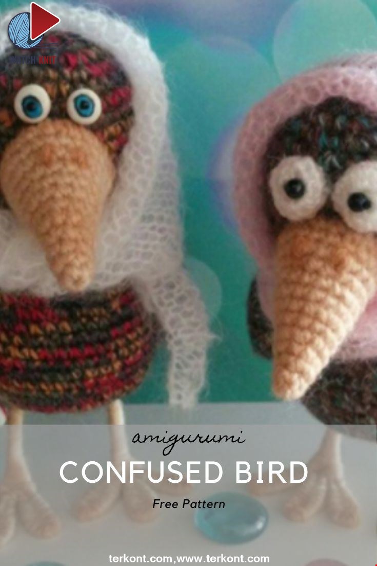 Confused Bird 