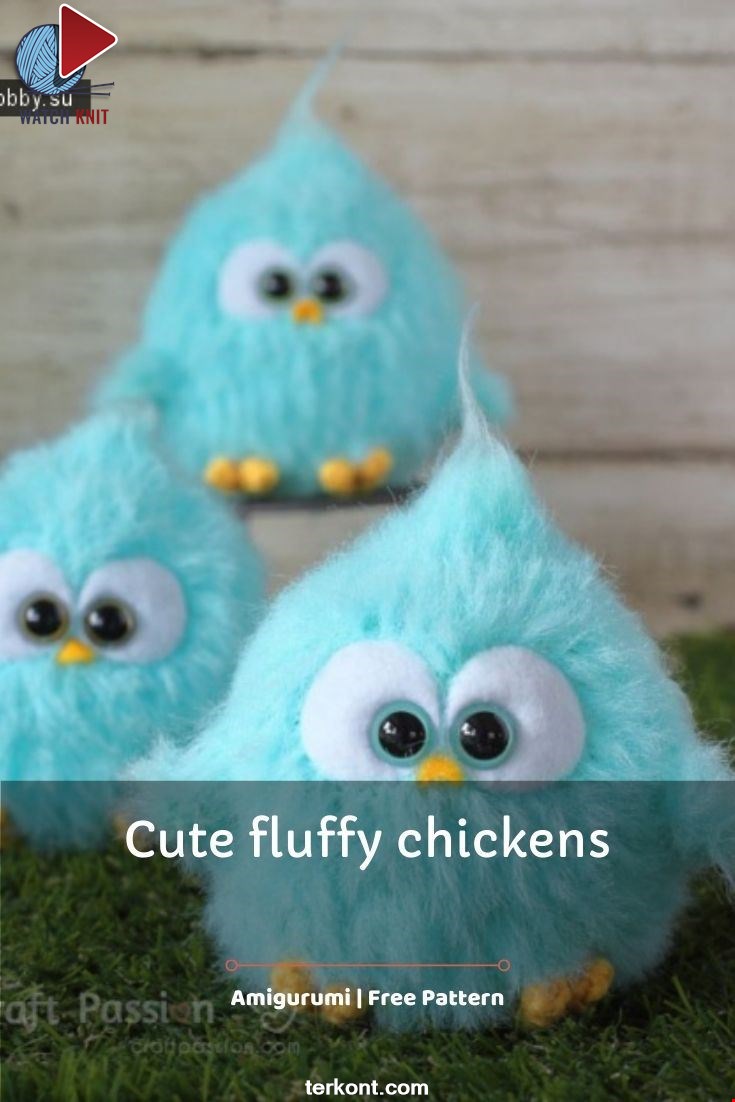 Cute fluffy chickens