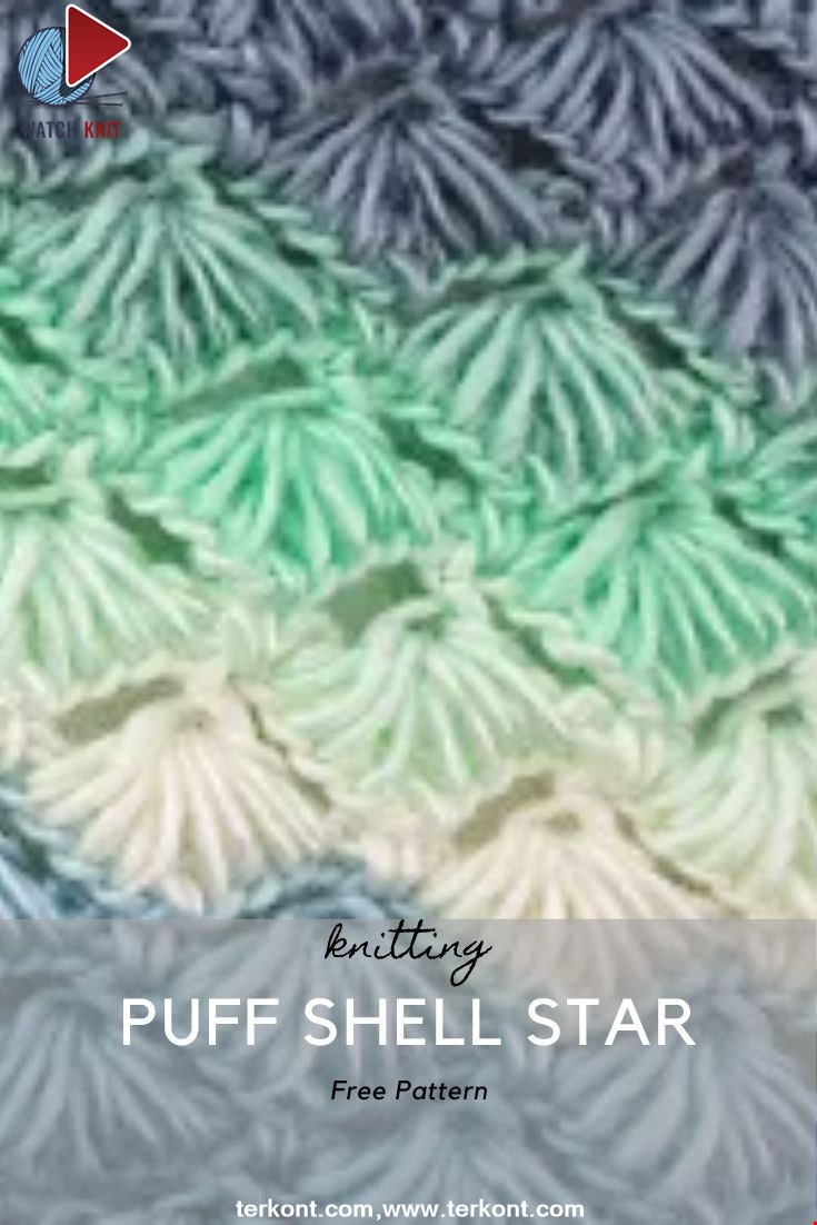 Puff Shell Star Stitch 